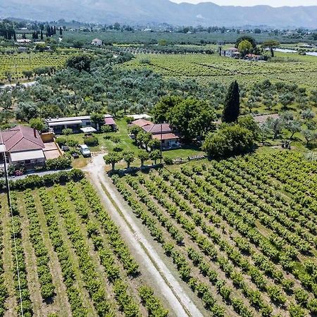 Authentic Country House In Zakynthos Ambelokipoi  Zewnętrze zdjęcie