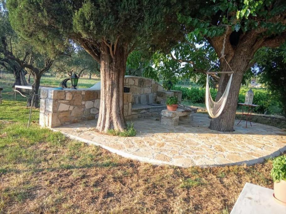 Authentic Country House In Zakynthos Ambelokipoi  Zewnętrze zdjęcie