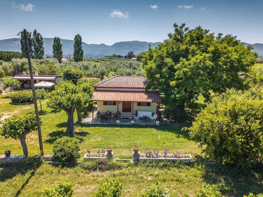 Authentic Country House In Zakynthos Ambelokipoi  Zewnętrze zdjęcie